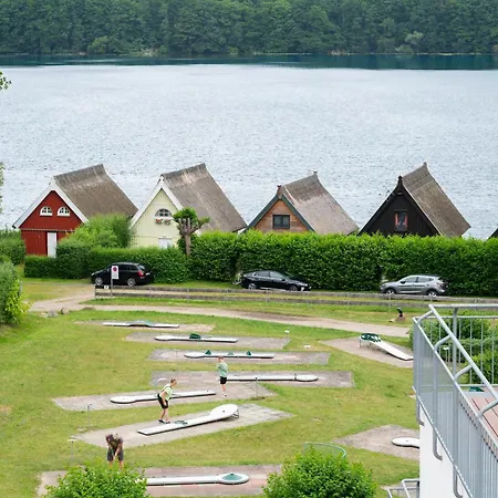 Eisvogel Classic 303